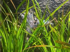 -上海海洋水族馆