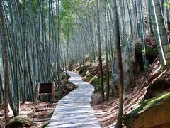 -黄山翡翠谷景区