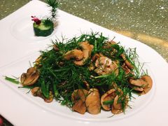 -阿五黄河大鲤鱼(纬三路店)