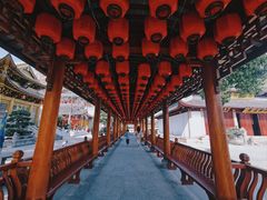 -上海东林寺(金山区)