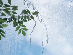 -厦门良筑精品酒店(厦门中山路店)