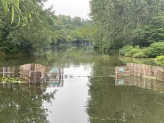 -溱湖国家湿地公园