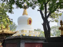 -护国法轮寺