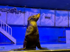 -太平洋海底世界