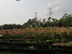 -紫马岭游泳馆