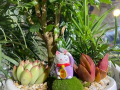 -循礼门鲜花花市(武汉循礼门店)