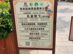 -西双版纳原始森林公园