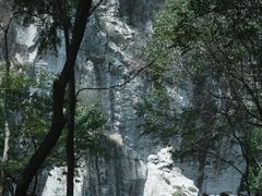 -仓桥直街