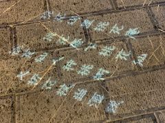 -风波庄(罍街分舵)