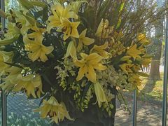 -上海鲜花港