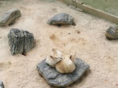 -云南野生动物园