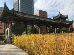 -证大喜玛拉雅中心