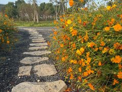 -春花秋色城市公园