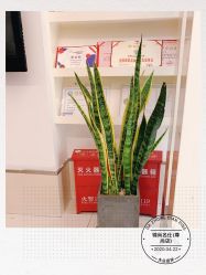 点击看大图 -锦尚名仕Hair Salon