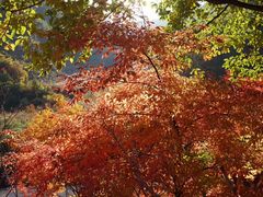 -丹东天桥沟景区