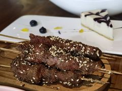 -百好乐宠物友好餐厅(朝外大街店)