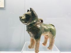 -上海自然博物馆
