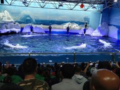 -秦皇岛乐岛海洋王国