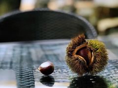 -兴福老面馆(寺路街店)