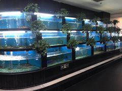 水产区-王家渡火锅店(棕榈泉店)