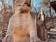 -大觉寺-停车场