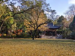 -汇龙潭