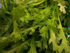 -顺德公美食(西乡店)