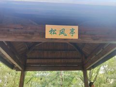 -大兴滨河森林公园