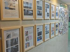 -半岛宠物医院24小时·内窥镜·牙科·碎石中心(府城大道店)
