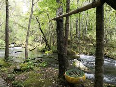 -叠溪松坪沟景区
