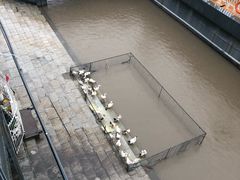 -满汉楼(江畔店)