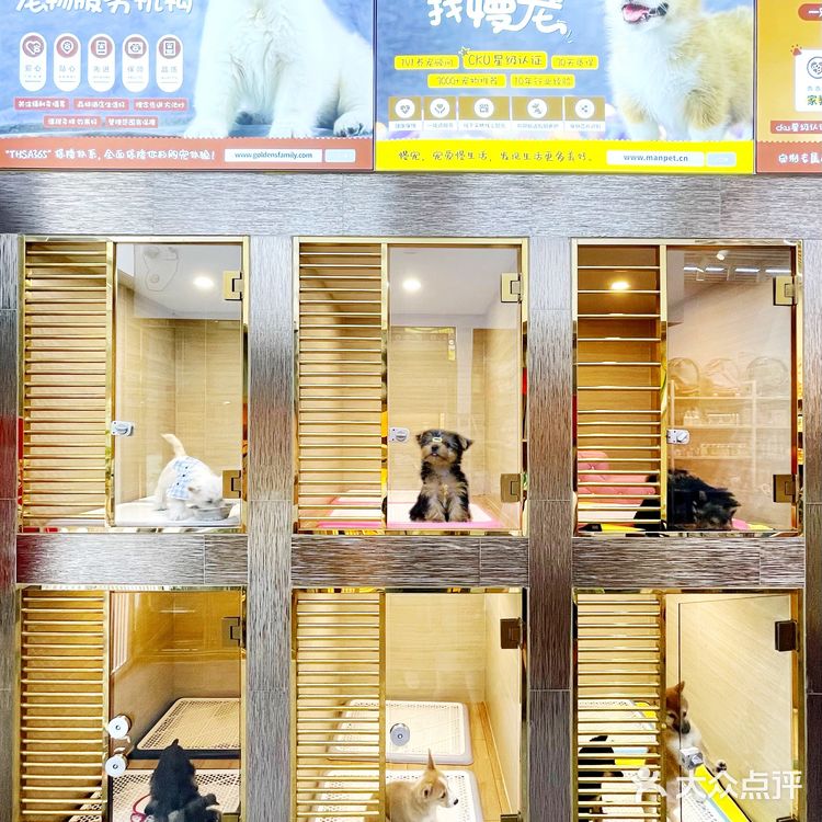 靠谱的宠物店