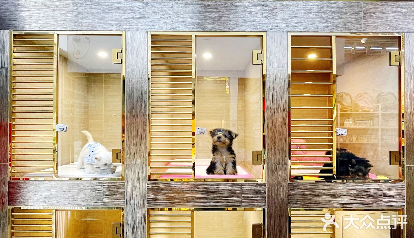 靠谱的宠物店