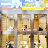 靠谱的宠物店