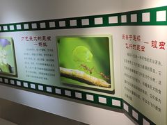 -上海昆虫博物馆