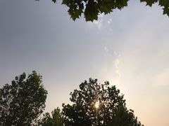 -北戴河集发农业梦想王国