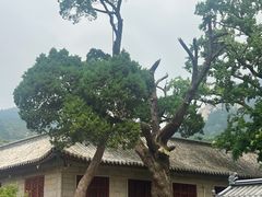 -青岛崂山太清宫
