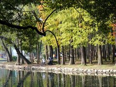 -上海共青森林公园