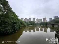 -龙头寺公园