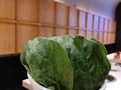 -浩爷羊蝎子火锅(望京店)