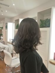 -THE LOG SALON 记录