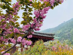 -华清宫景区