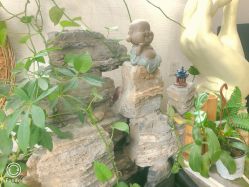 -花间禅净·瑜伽