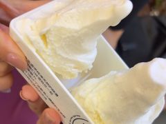 -野人先生Gelato(上海长宁龙之梦店)
