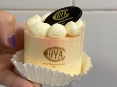 -COVA(新天地Xintiandi店)