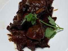 -蝶园·装修中(BFC外滩金融中心店)