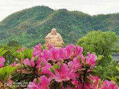 -溪口-滕头旅游景区