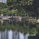 深圳游玩｜来荔枝公园打卡深圳超美水天辉映的建筑风光