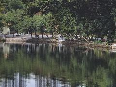 -荔枝公园(福田区)