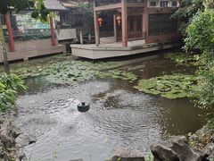 -东江渔村·古典园林·30年粤菜老字号(太和店)